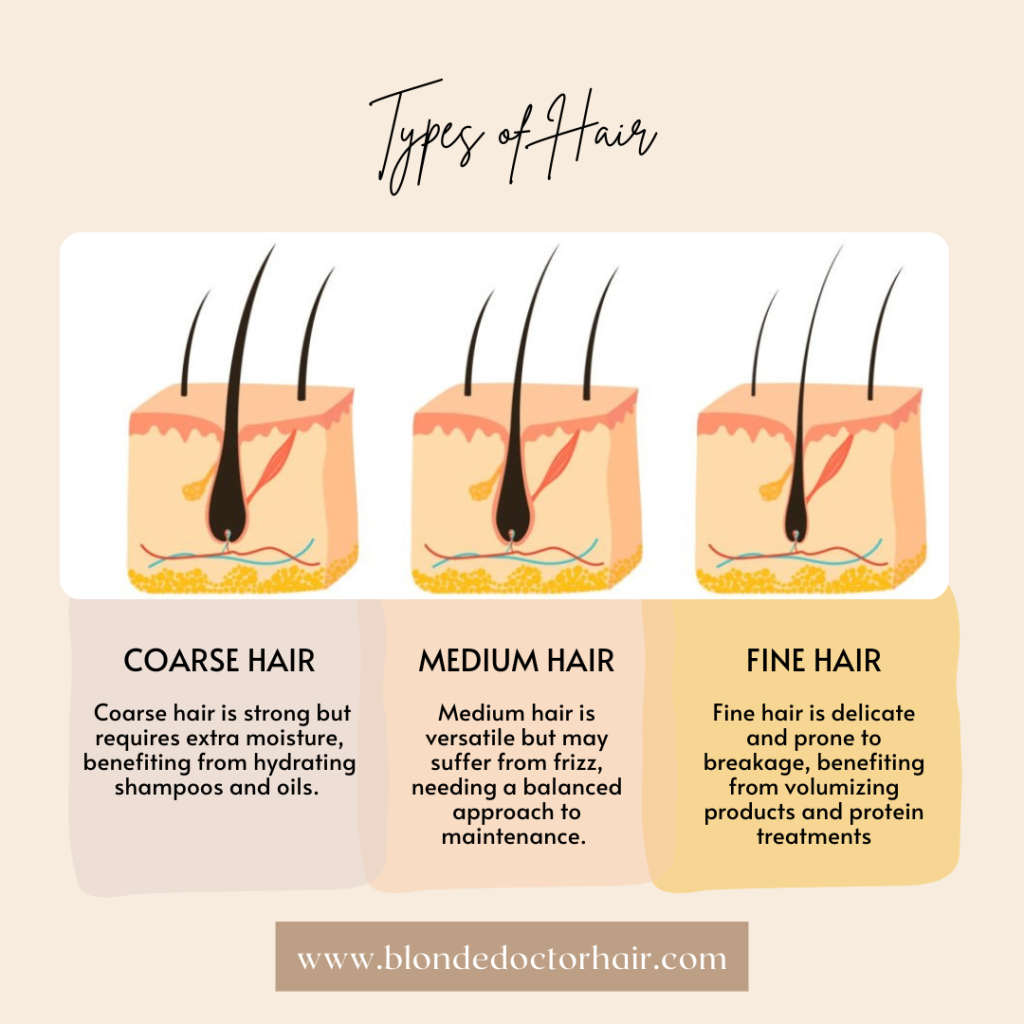 types of hair - fine, medium and coarse